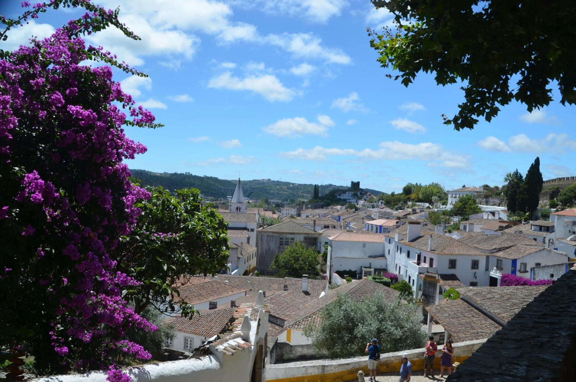 Cazenn Salir Do Porto - Holiday House Salir de Porto Exteriér fotografie